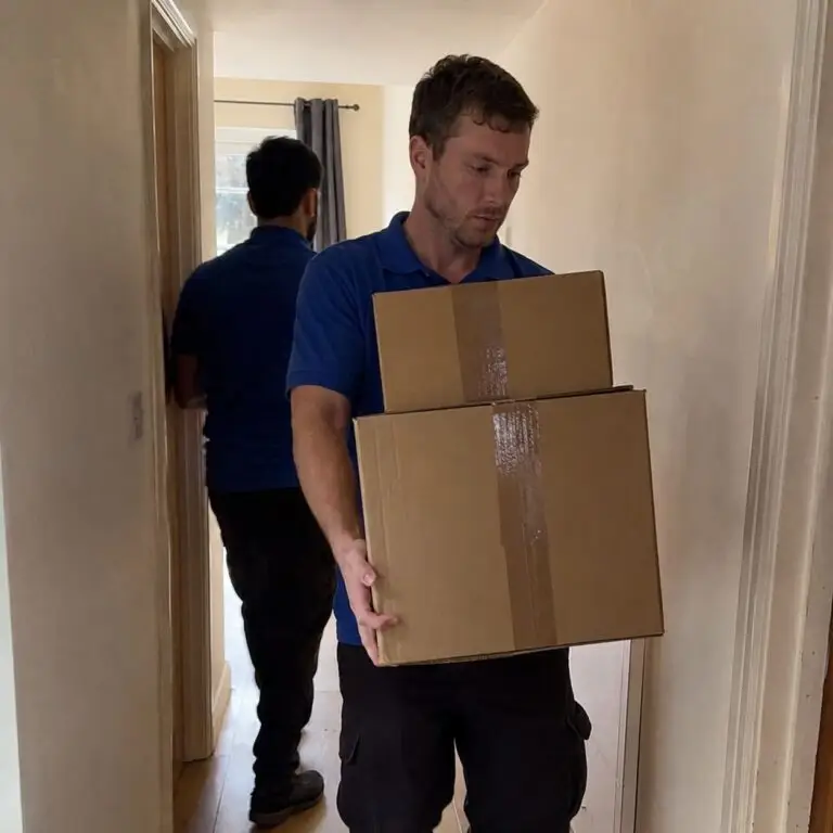 Professional box removal service indoors - Home Removal Service